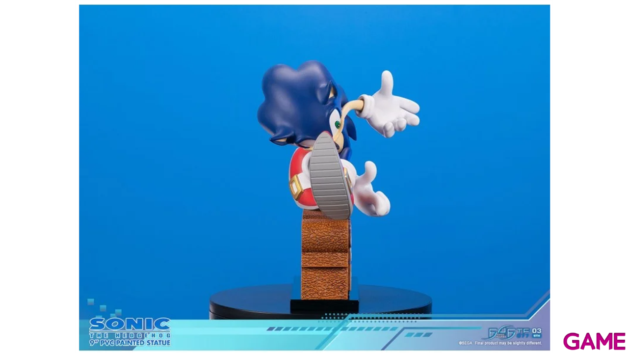 Estatua Sonic the Hedgehog: Sonic Adventure-4