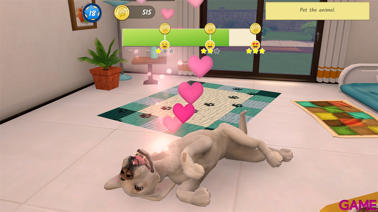 Animal Hospital-2