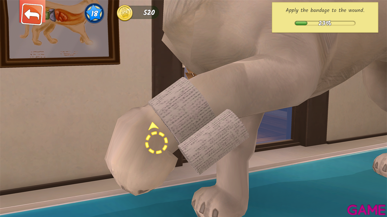 Animal Hospital-4