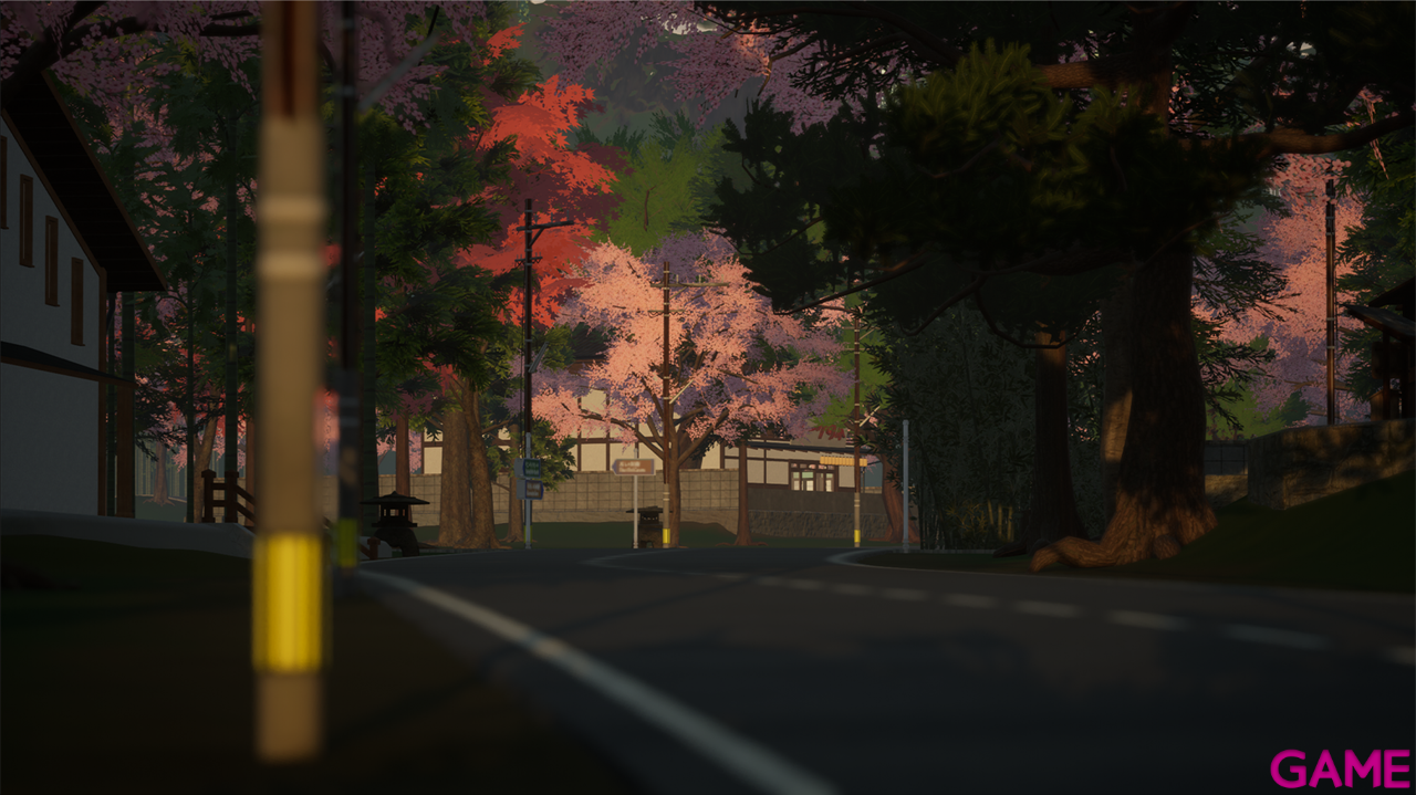 SunnySide-5
