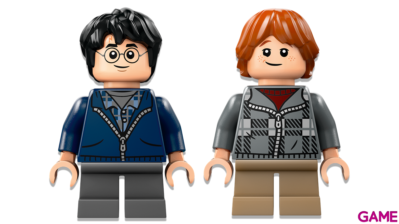 LEGO Harry Potter: Aragog En El Bosque Prohibido 76434-12