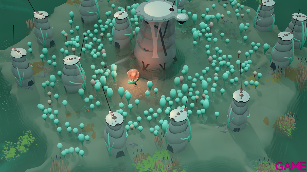 Cocoon-3