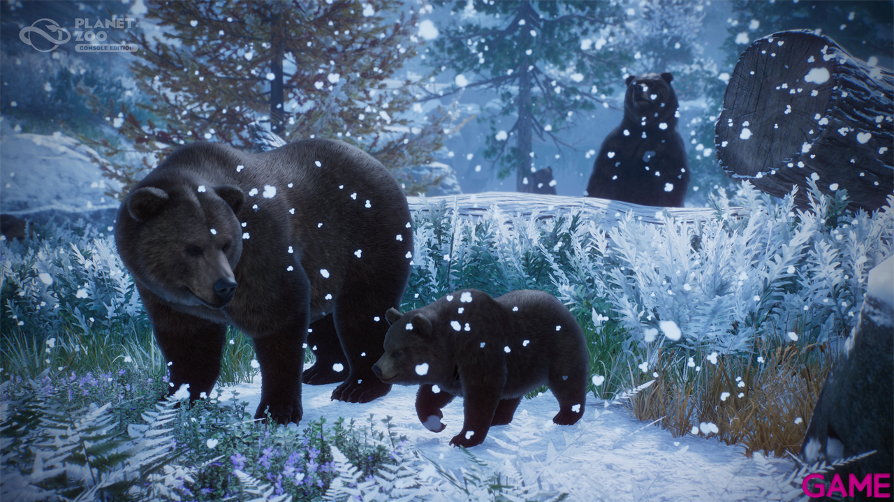 Planet Zoo: Console Edition-4