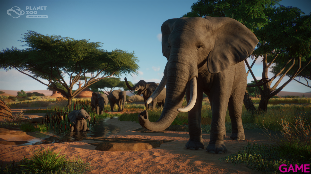 Planet Zoo: Console Edition-5