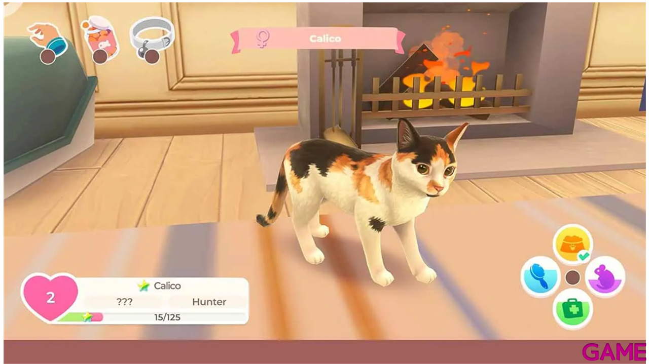 Cat Rescue Story-2