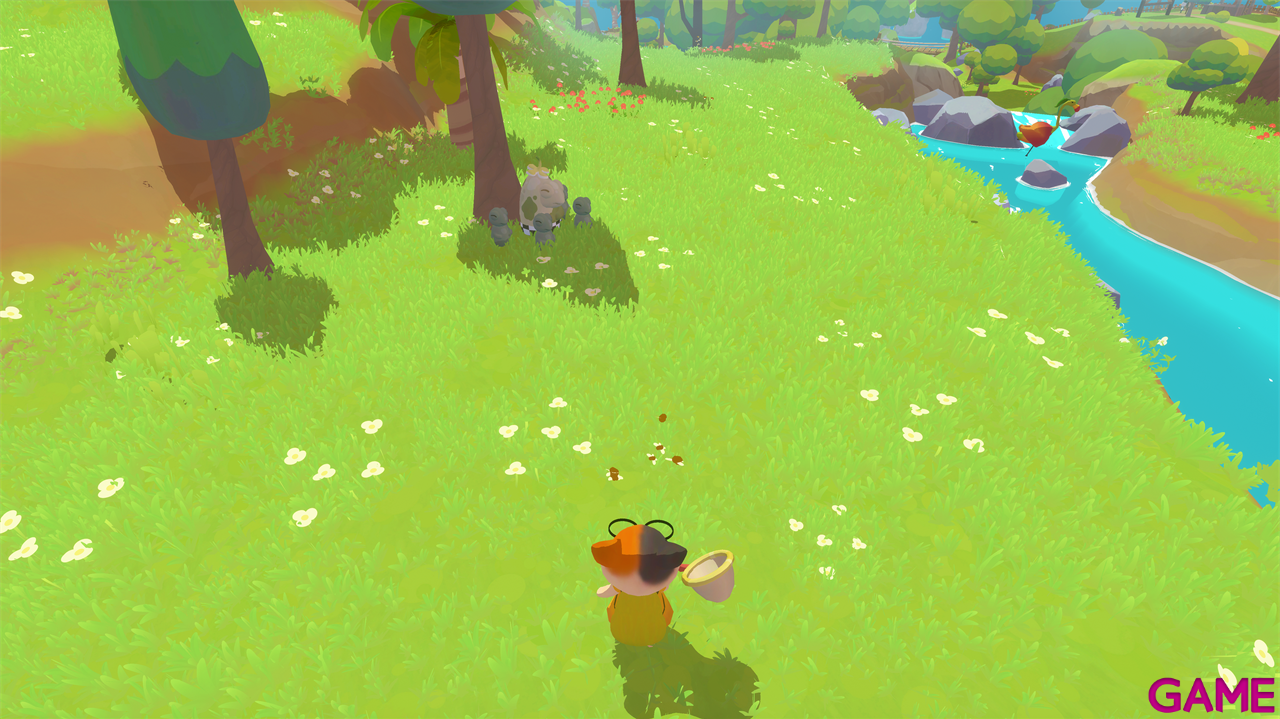 Petit Island-1