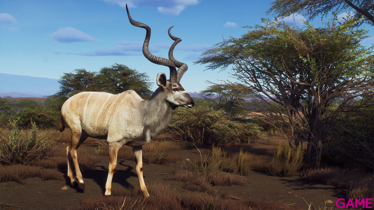Way of the Hunter Wild Expeditions-8