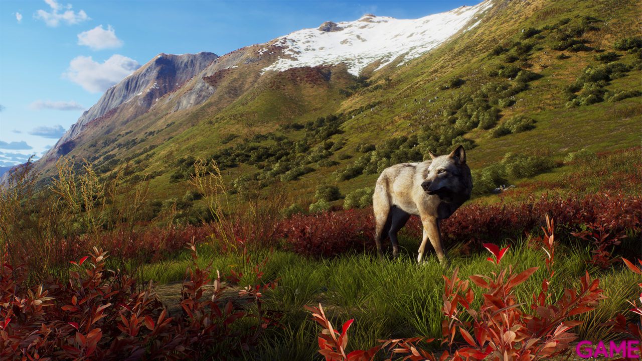 Way of the Hunter Wild Expeditions-2