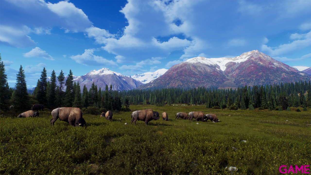 Way of the Hunter Wild Expeditions-3
