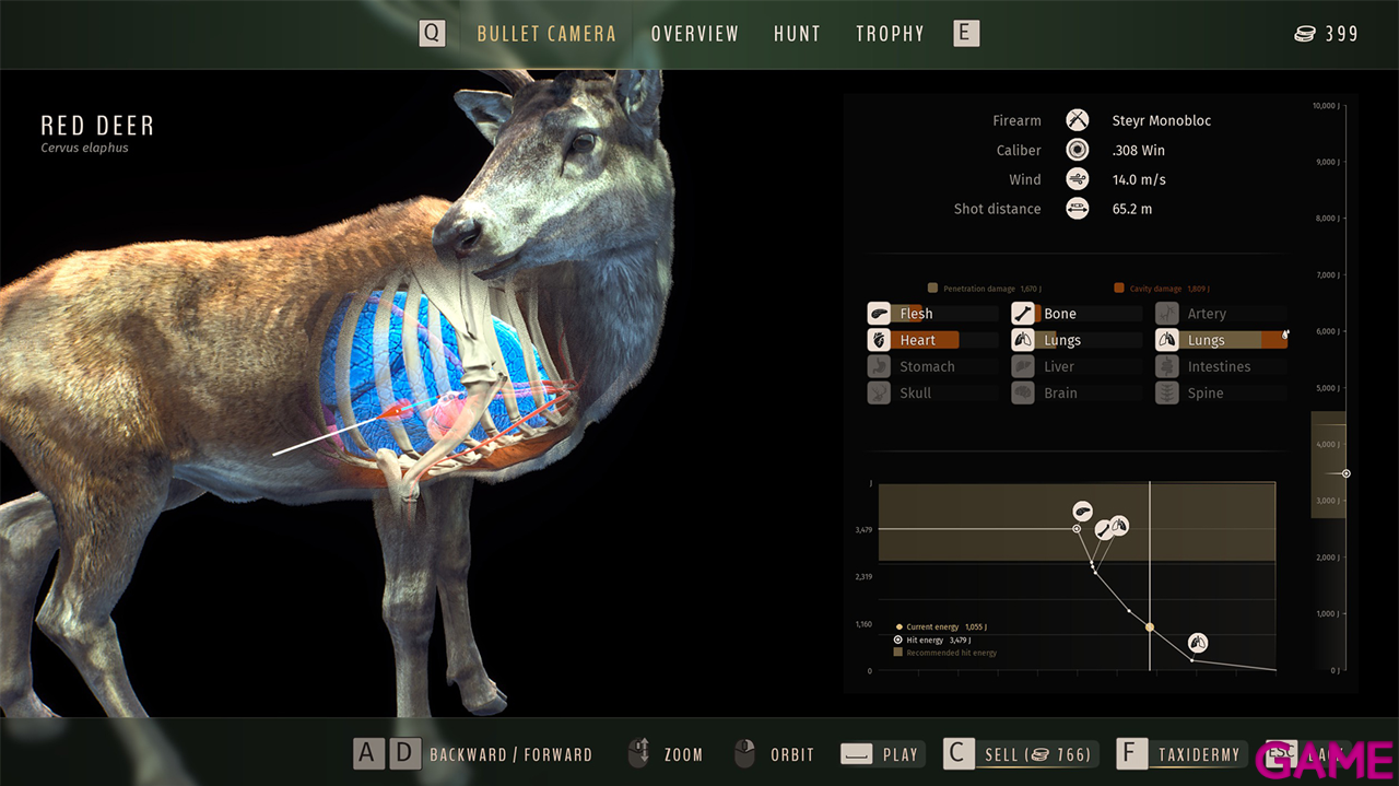 Way of the Hunter Wild Expeditions-4