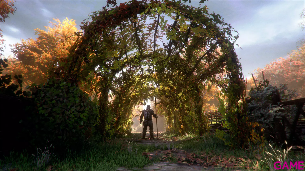 A Plague Tale Collection-8
