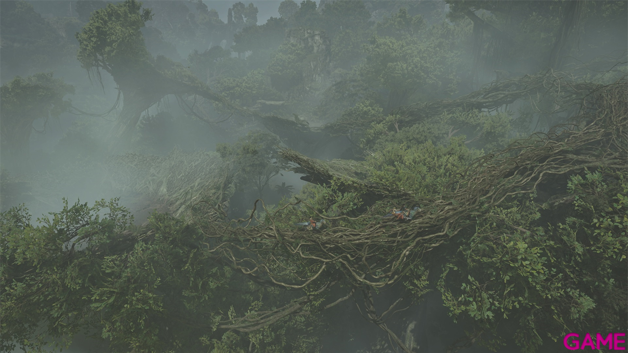 Monster Hunter Wilds-3
