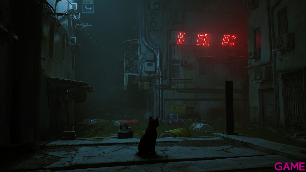 Stray-2