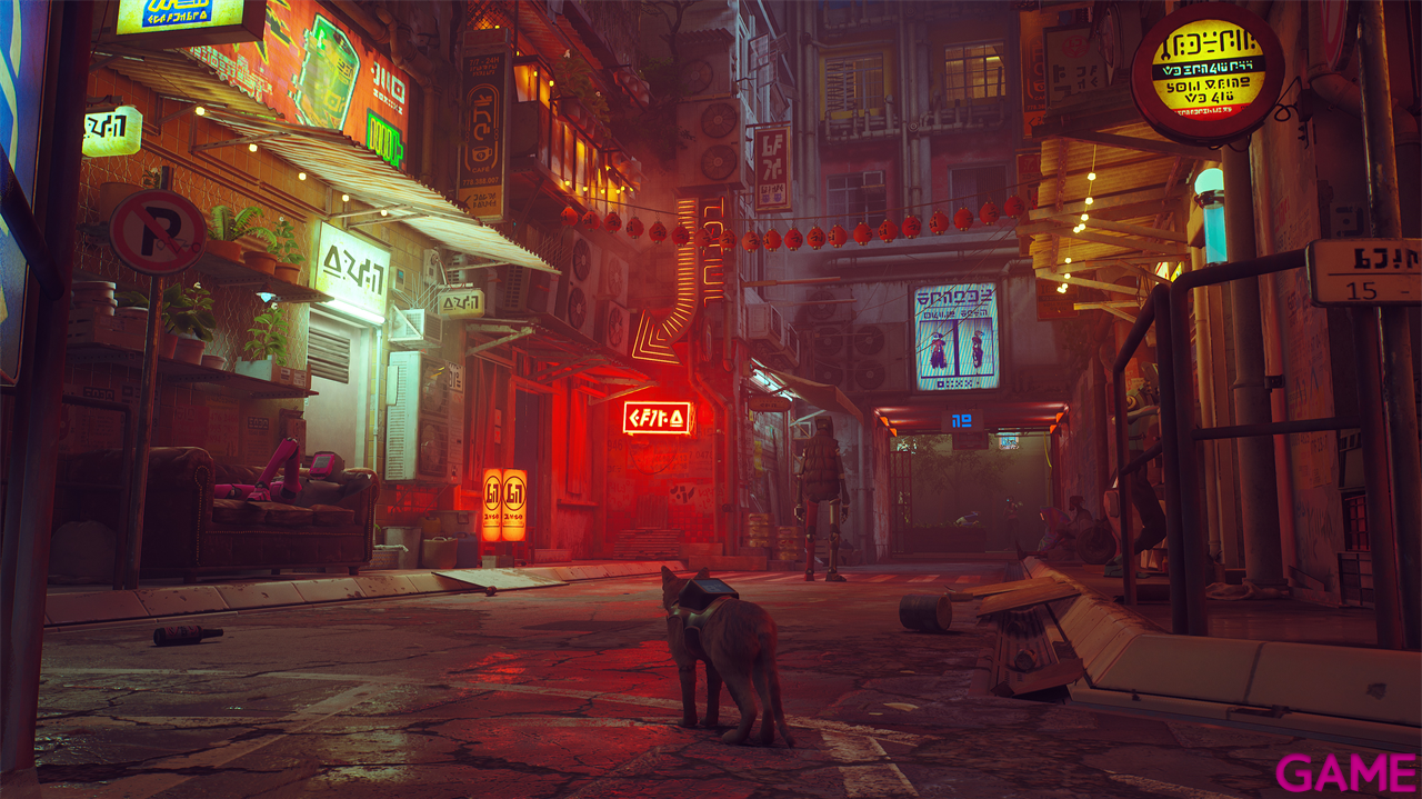 Stray-4