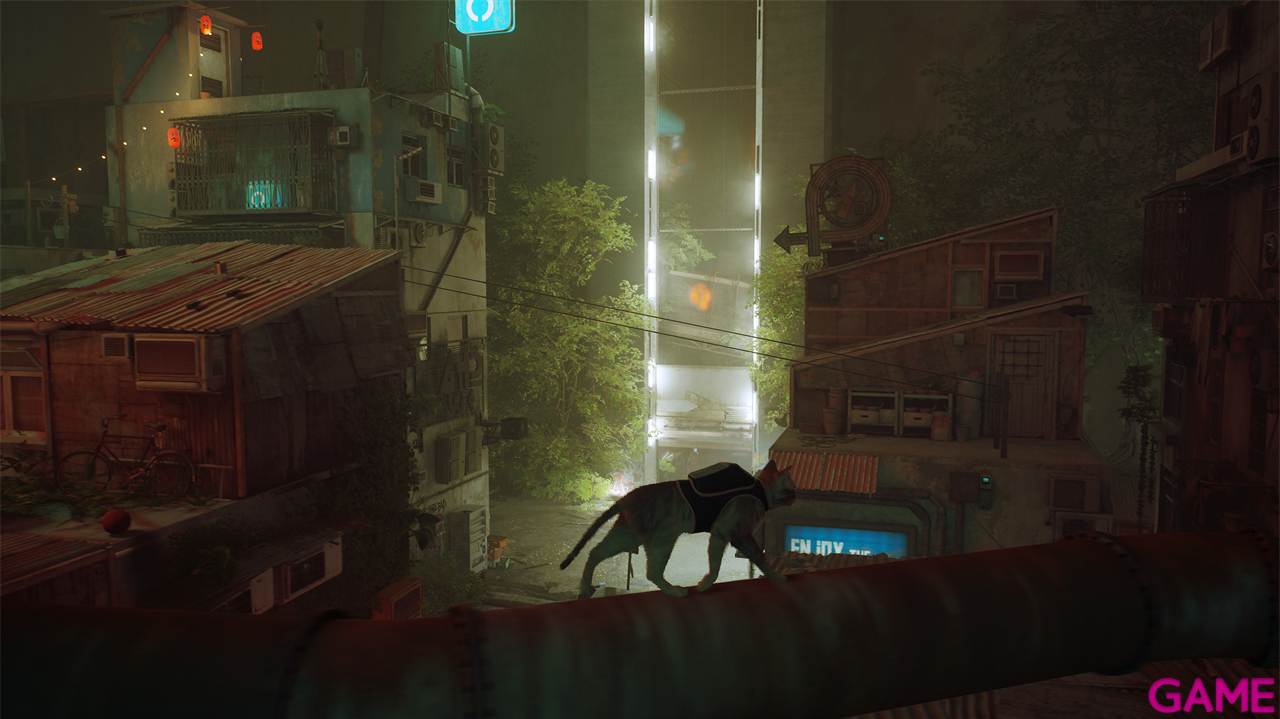 Stray-6