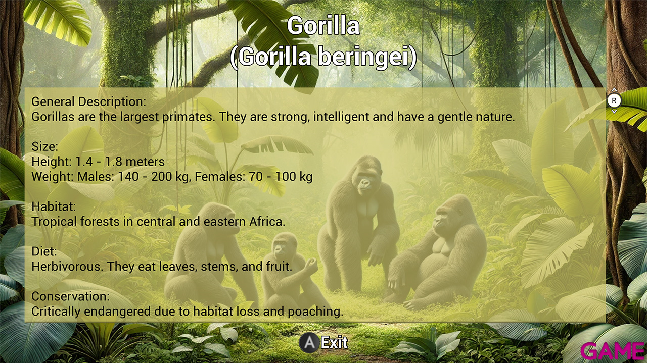 My Vet Practice in the Zoo-0