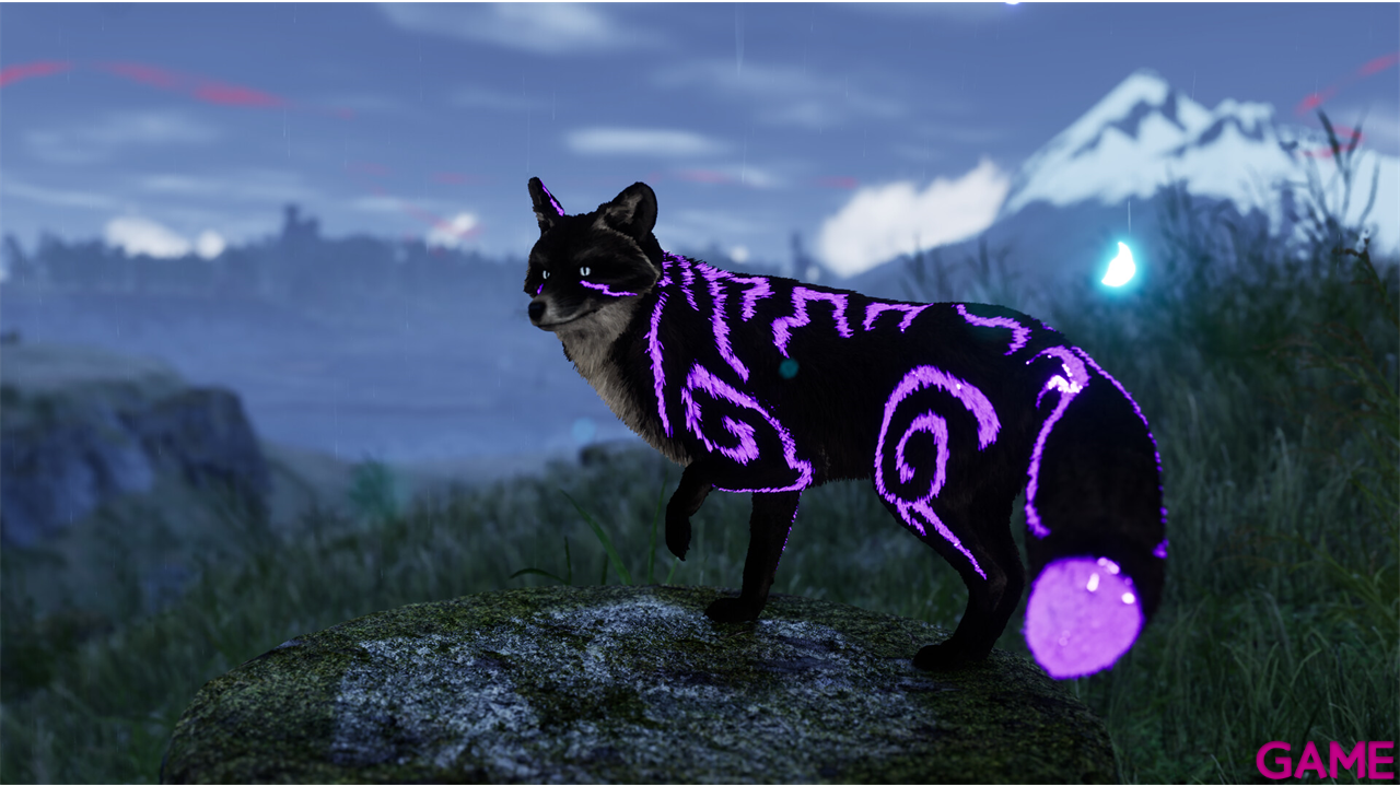Spirit of the North 2 Signature Edition-2