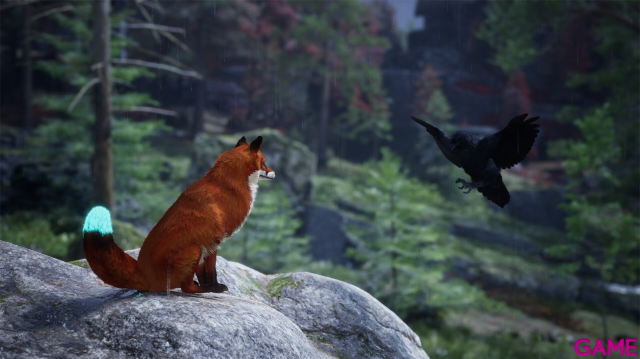 Spirit of the North 2 Signature Edition-3