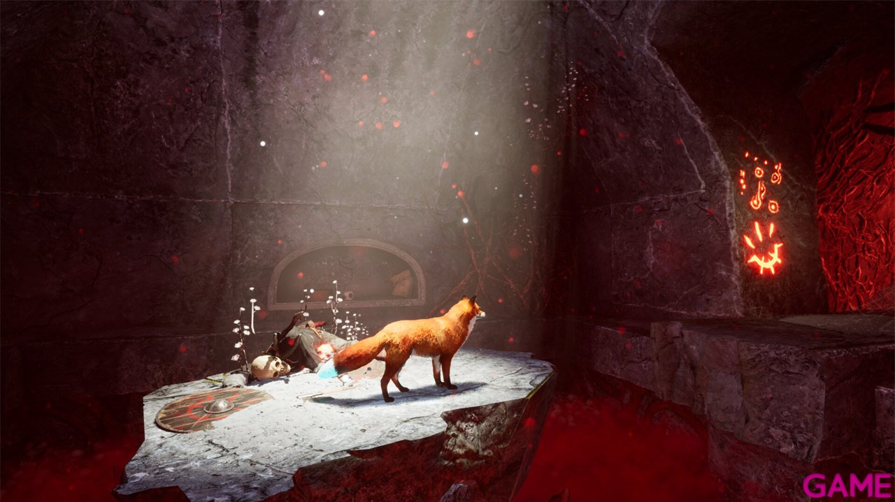 Spirit of the North 2 Signature Edition-4