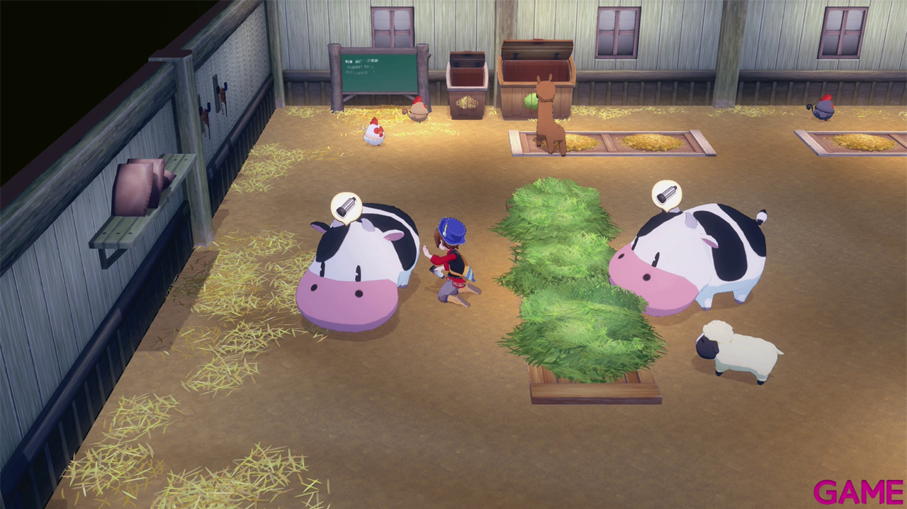 Story Of Seasons: Grand Bazaar Limited Edition-1