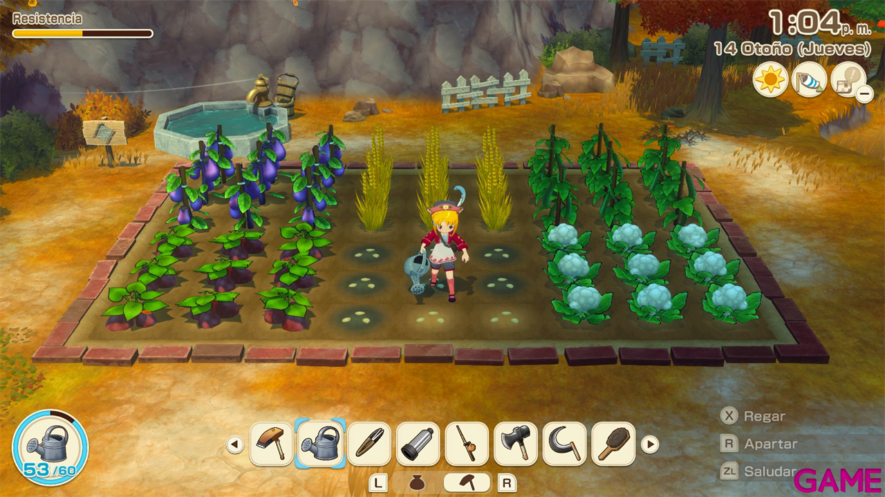 Story Of Seasons: Grand Bazaar Limited Edition-2