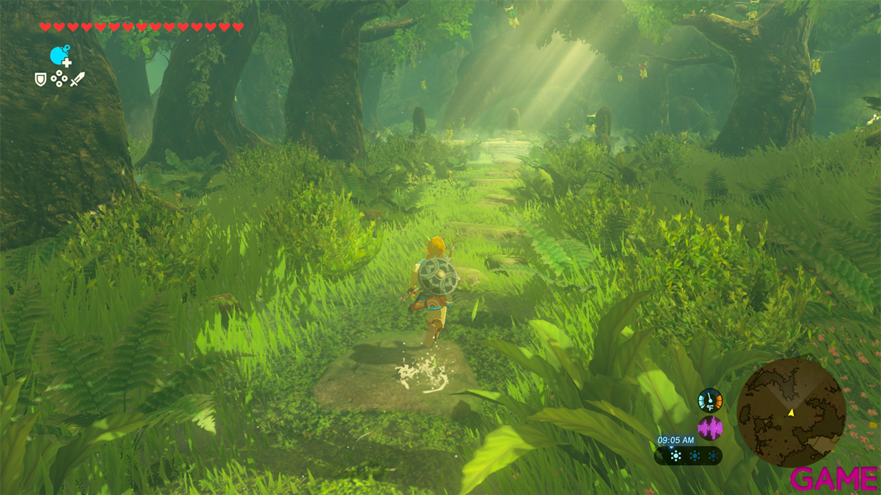 Zelda Breath of the Wild - NSW2 Edition-0