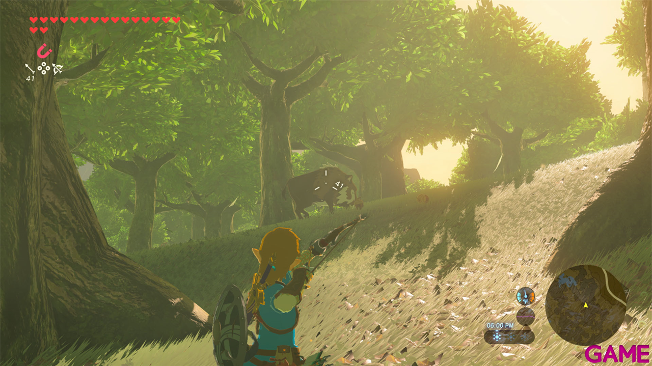 Zelda Breath of the Wild - NSW2 Edition-1