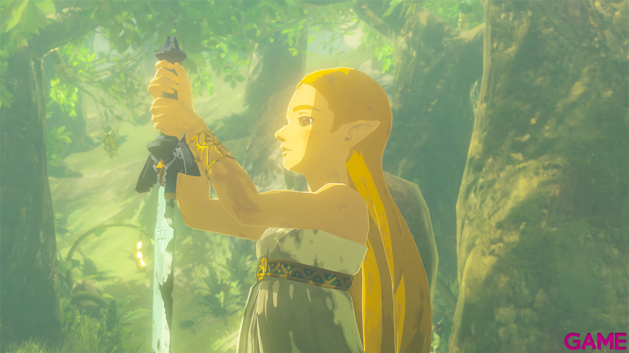 Zelda Breath of the Wild - NSW2 Edition-2