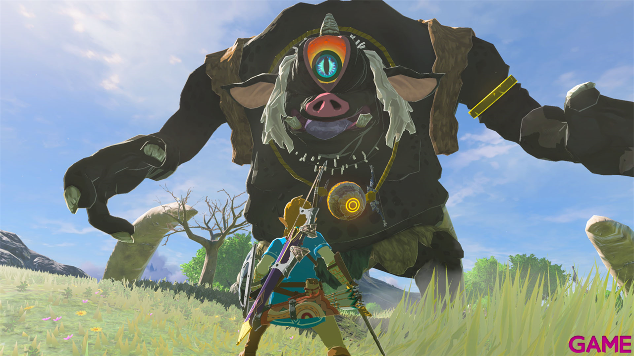 Zelda Breath of the Wild - NSW2 Edition-7