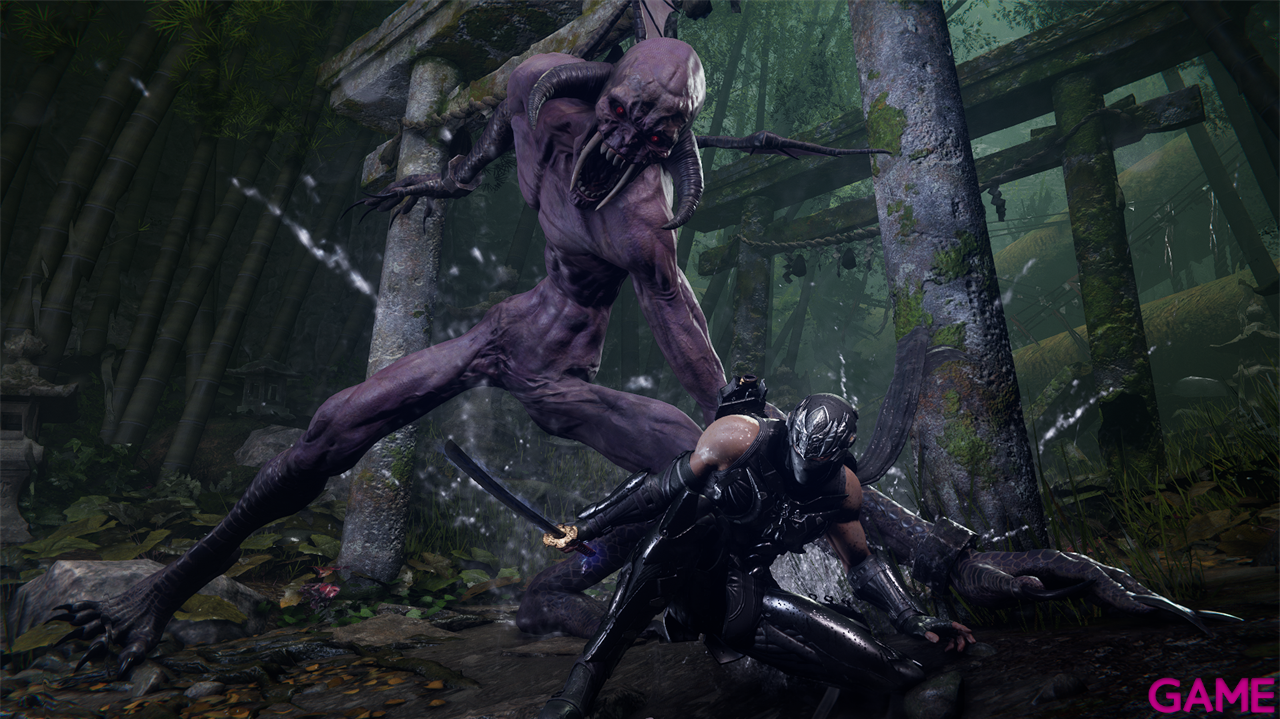 Ninja Gaiden 4 Deluxe-7