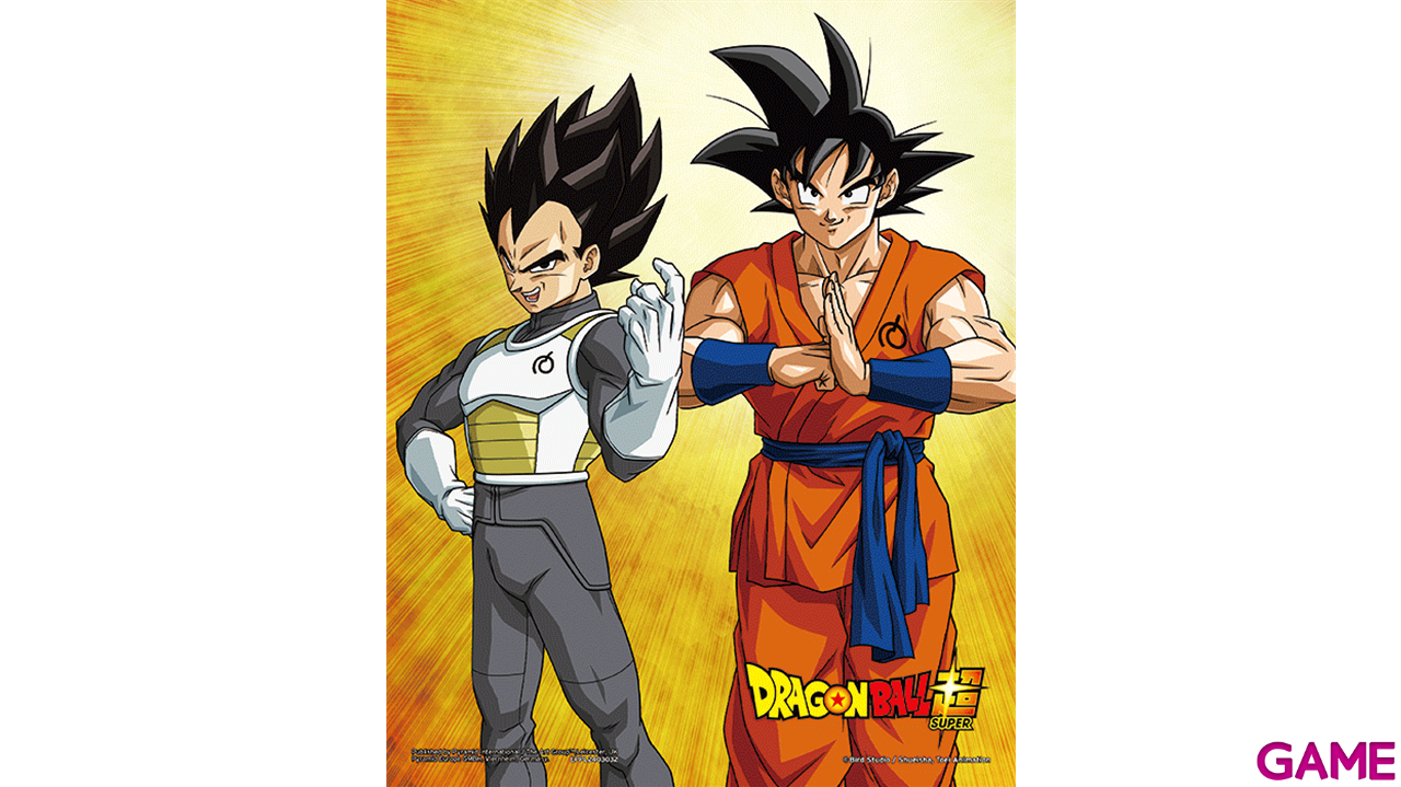 Póster 3D Dragon Ball SuperGoku & Vegeta-1