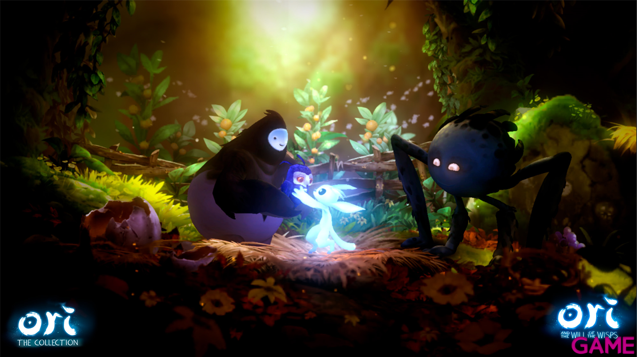 Ori the Collection-5