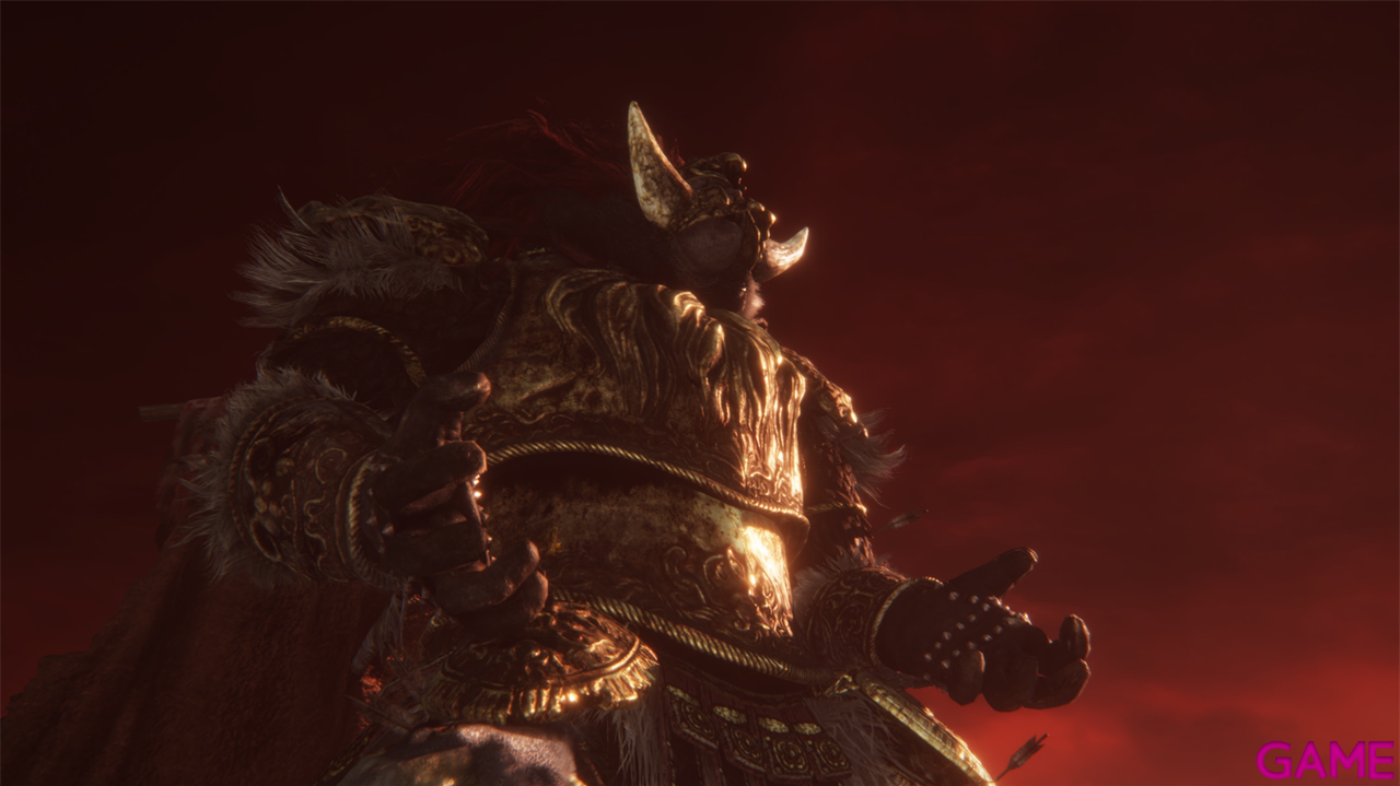 Elden Ring Tarnished Edition-4