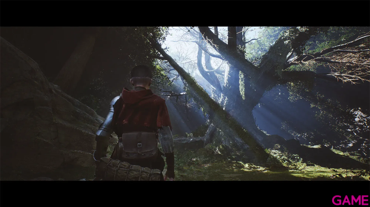 1348 Ex Voto Golden Edition-3