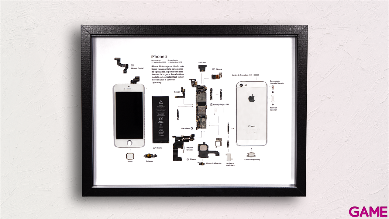Cuadro Nostalgia GAME Iphone 5 32x42-0