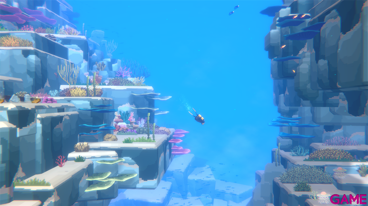 Dave the Diver Complete Edition-5