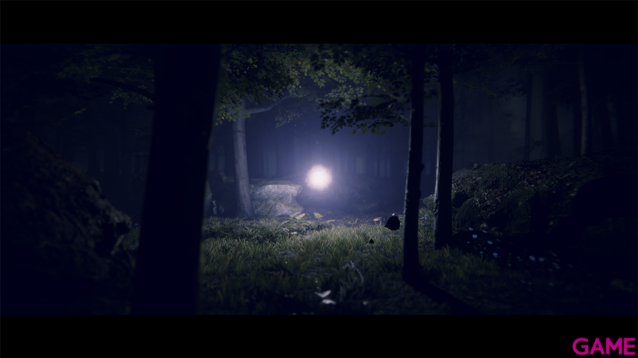 Project Songbird-2