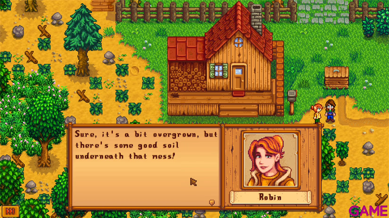 Stardew Valley-5