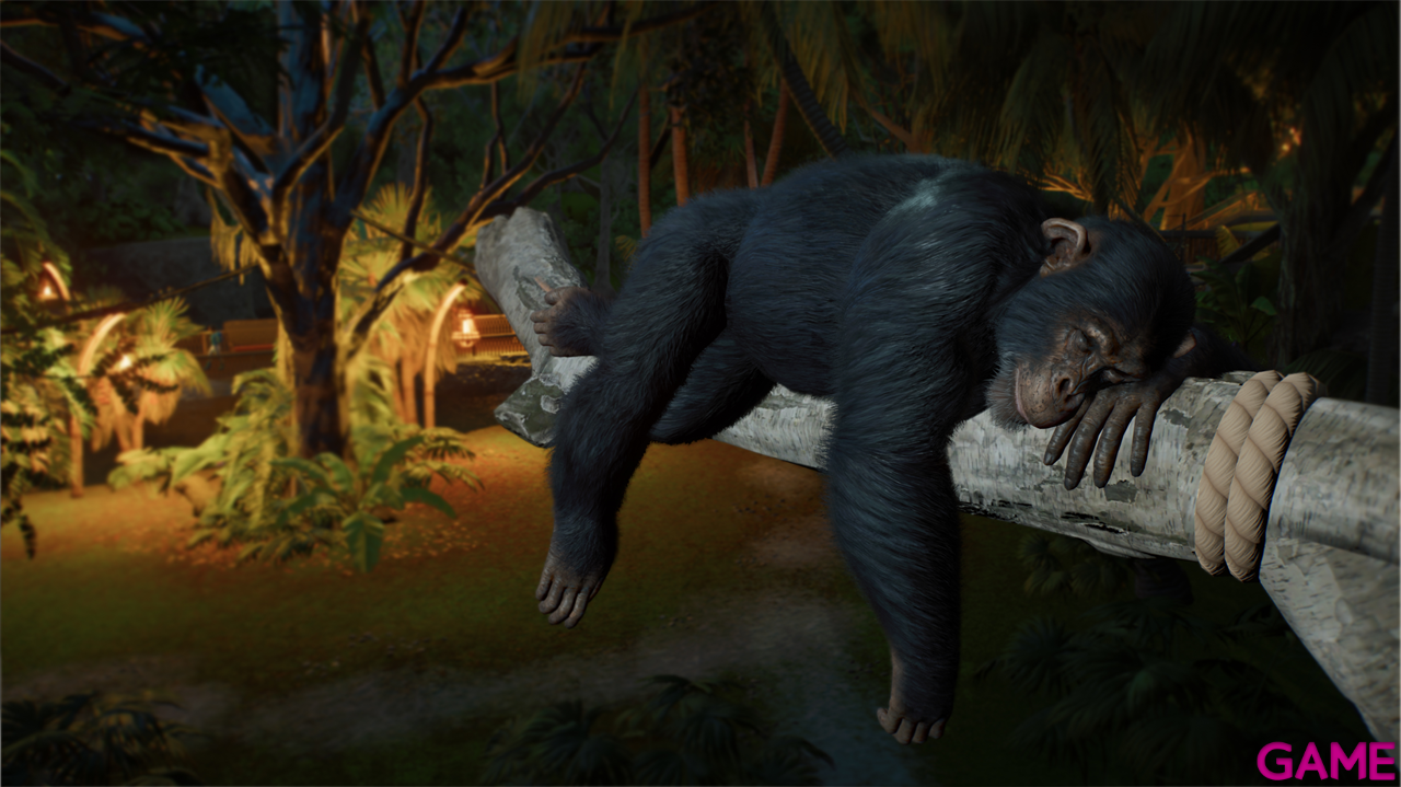 Planet Zoo 2-3