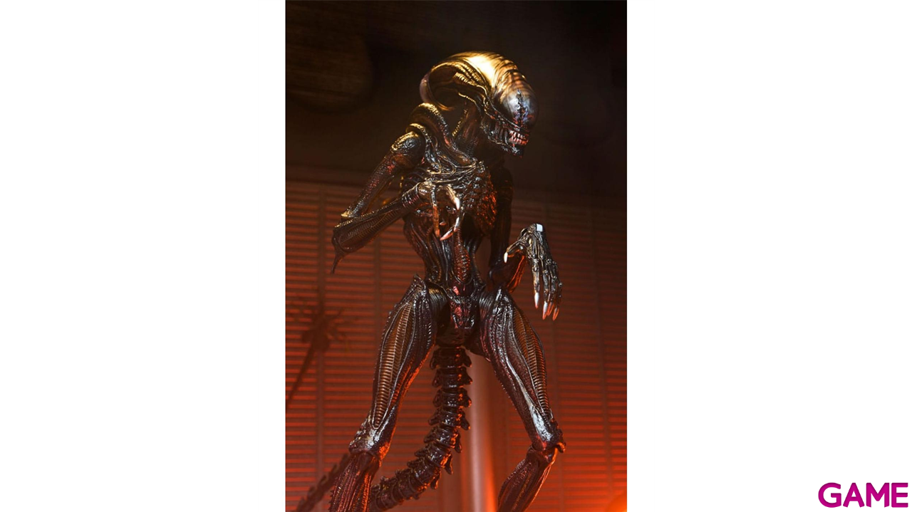 Figura Alien: Romulus Ultimate Scorched Xenomorph de 18 cm-5