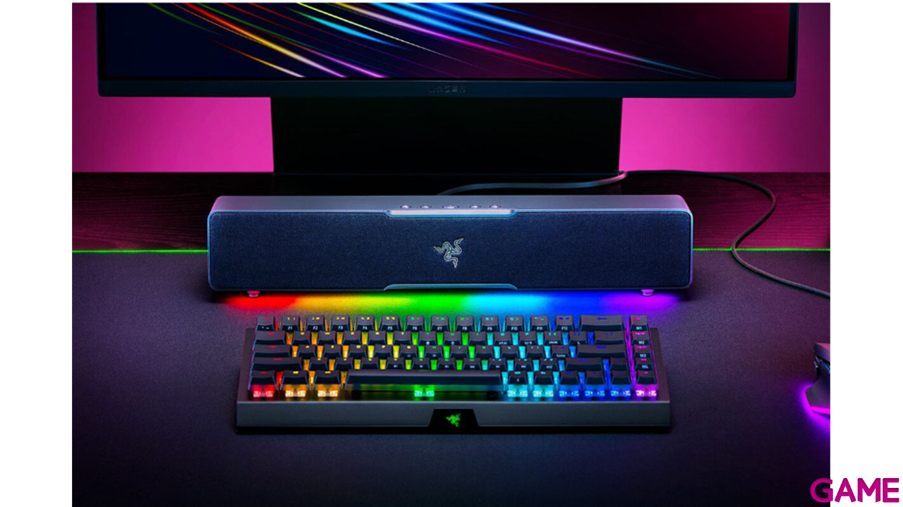 Razer Leviathan V2 X Negro - Altavoces-1