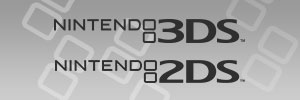 3DS 2DS