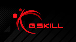 Componentes GSKILL - Selección de Memorias RAM G.Skill donde podrás comprar Memorias RAM G.Skill baratos y al mejor precio de venta online en nuestra tienda. Rendimiento de vanguardia con los últimos procesadores Intel® Core™ en GAME.es