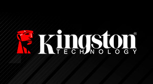 Kingston - Kingston cuenta con dispositivos de almacenamiento Flash, como SSD, unidades Flash USB, tarjetas de memoria y lectores para uso cotidiano en casa. La más avanzada portabilidad. Ligera solución de almacenamiento con las velocidades óptimas para mejorar el rendimiento de tus dispositivos. en GAME.es