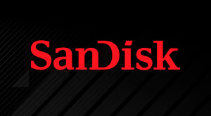 Sandisk - Tarjetas de memoria flash para imágenes y video digitales: SanDisk es el líder mundial en tarjetas de memoria flash para cámaras y videocámaras digitales y teléfonos móviles ¡Descubre los mas de 200 productos Sandisk que hemos preparado para ti! en GAME.es