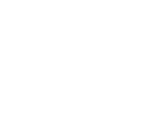ICON_ELEVABLE.png