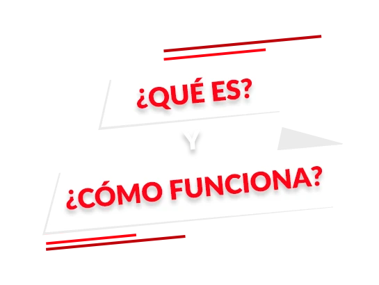 QUESYCOMOFUNCIONA%20XX.webp