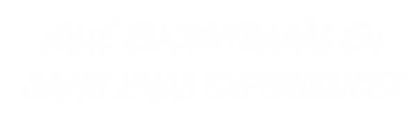 EXPERIENCIA.png