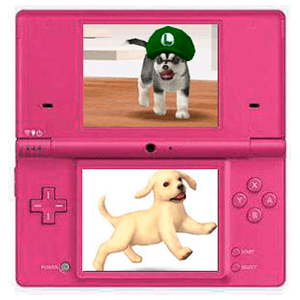 Nintendo DSi Rosa