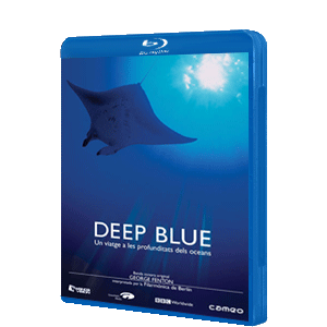 Deep Blue/Br Cameo